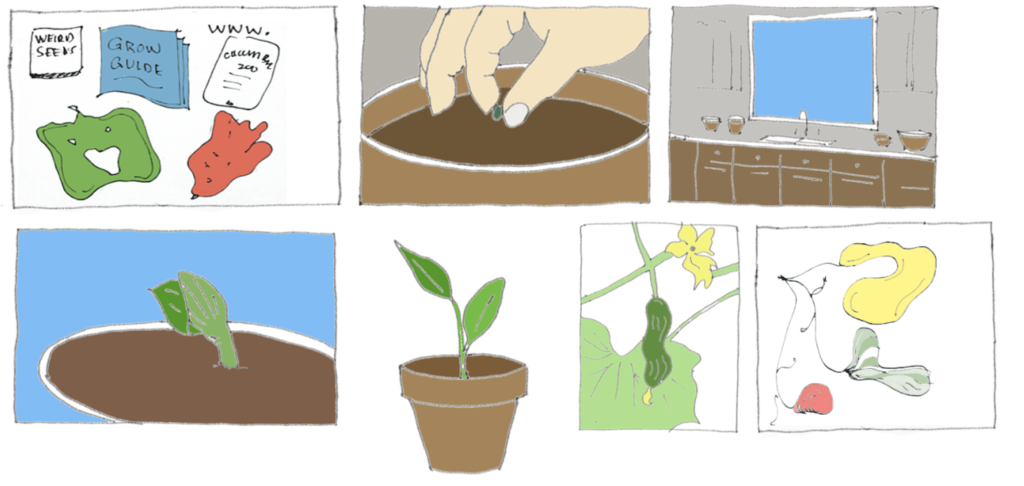 cucumber zoo kit and actions