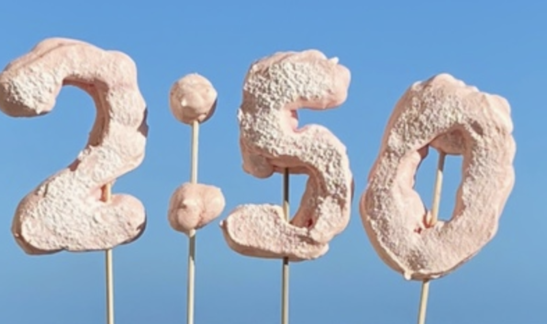 Four insights from 250 days of MIT@2:50 — ten-minute daily reflection