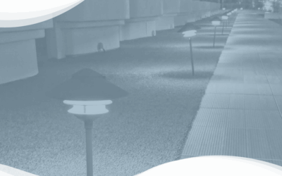 Protected: State of UX in Hawaiʻi research report